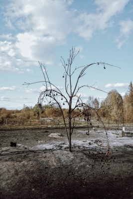 Стеклянный -01.jpg